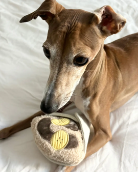 Enrichment Dog Toy - Crepe