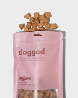 Dogged Freeze Dried Salmon