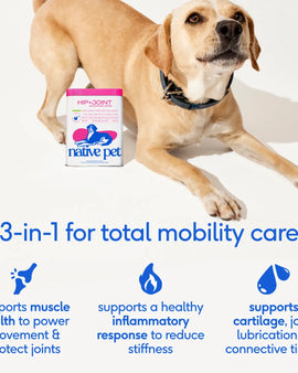 Hip+Joint Advanced Care Powder Joint, Muscle & Inflammation
