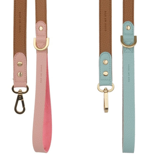 Oops! My Dog Leash