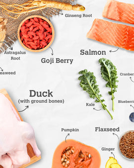 CHARMY Freeze Dried Salmon & Duck Raw Dog Food