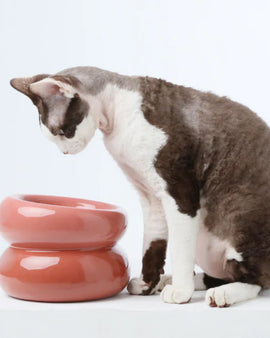 Souffle Pet Bowl - Rose Pink