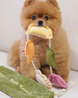 Ravioli Nosework Enrichment Toy | Squeaker | Crinkle