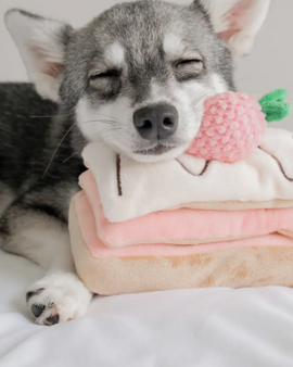 Strawberry Mille-Feuille Nosework Toy