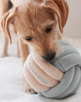 Snuffle Knot Nosework Toy