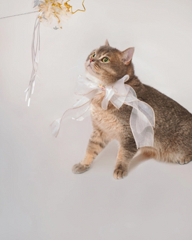 Magic Princess Cat Teaser Toy