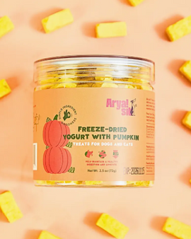 Freeze-Dried Pumpkin Yogurt