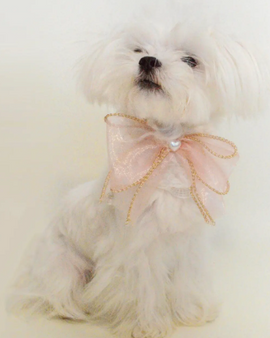 Butterfly Bow Scarf