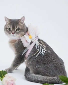 Give-Me-Wings Harness (Leash Included)