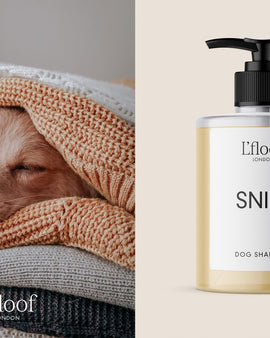 SNIFF by L'floof London - Dog Shampoo