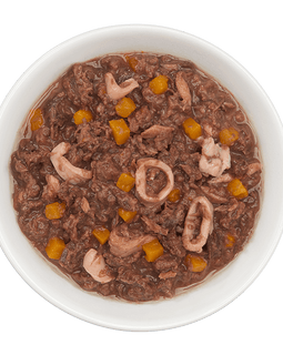 Tiki Cat Aloha Friends Tuna Calamari & Pumpkin