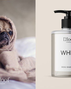 WHIFF By L'floof London - Dog Shampoo