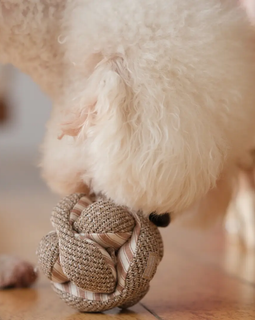 Enrichment Dog Toy - Mini Monti