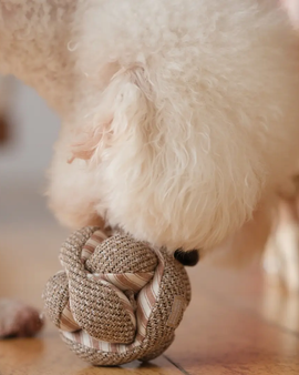 Enrichment Dog Toy - Mini Monti