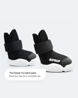 Dog shoes "Caesar 1" Black