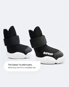 Dog shoes "Caesar 1" Black