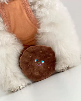 Cookie Sandwich Squeaker Nosework Toy