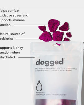 dogged Freeze Dried Dragon Fruit Topper