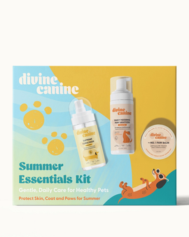 Summer Essentials Kit