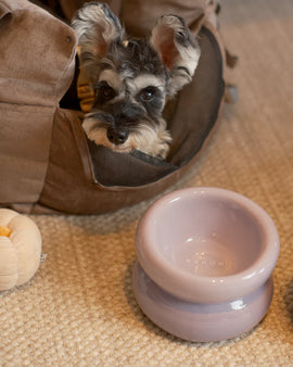 Souffle Pet Bowl - Purple