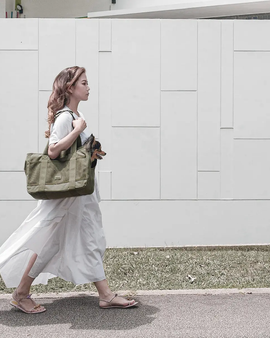 Pet Carrier - FERN