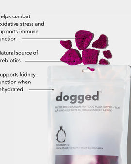 Dogged Freeze Dried Dragon Fruit