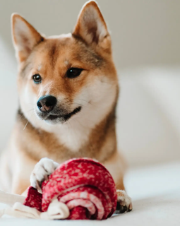 Enrichment Dog Toy - Lollipop