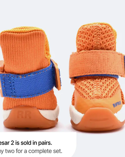 Dog shoes "Caesar 2" Apricot