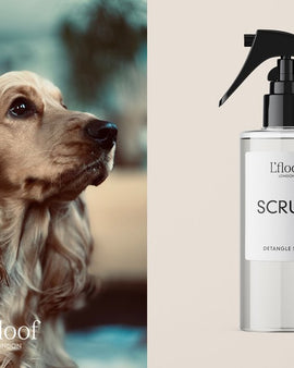 SCRUFF by L'floof London - Detangle Spray