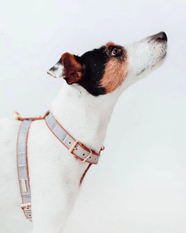 Grey Lia Harness