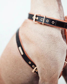 Branni Black Leather Lia Harness