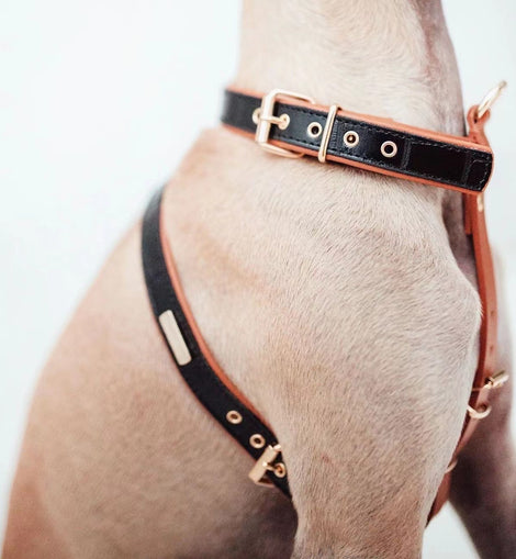 Lia black harness