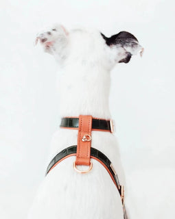 Branni Dark Green Leather Lia Harness