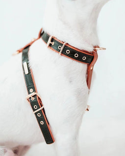 Branni Dark Green Leather Lia Harness